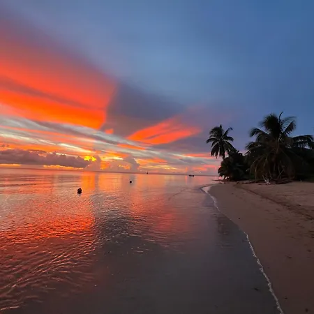 Moorea Dolphin Lodge